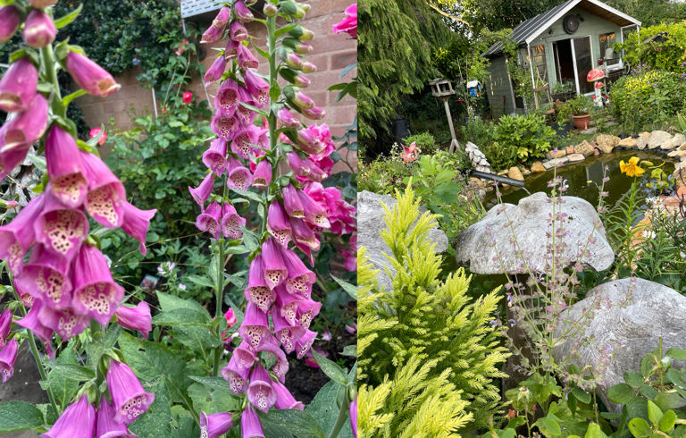 a customers garden